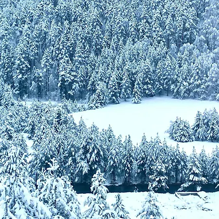 Tornik View Zlatibor 2 *